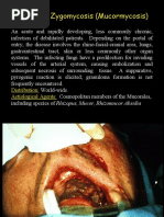 Systemic Zygomycosis (Mucormycosis) : Distribution: Aetiological Agents