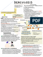 Mycobacterirum Tuberculosis: Qué Es? Patogeno