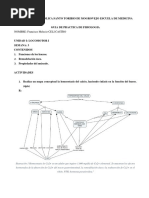 CUESTIONARIO 3 CELI CASTRO, Francisco Melecio FISIO