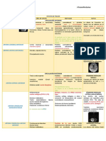 Cuadro de Arterias Cerebrales