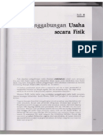 Penggabungan Usaha Secara Fisik