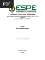 Ñato Anderson - Ensayo - Análisis Financiero