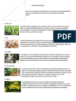 Plantas Medicinales