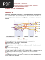 Peripheral Nerves and Plexus. Questions