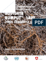 Budidaya Rumput Laut-Gracilaria