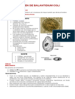 Resumen de Balantidium Coli