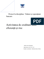 Activitatea de Creditare Intre Eficienta Si Risc, Real. Bors Gheorghe