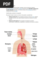 Aparato Fonador