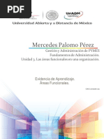 FAM U3 EA MEPP Areas Funcionales PDF