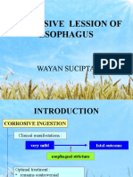 Corrosive Lession of Esophagus: Wayan Sucipta