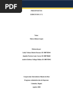 Presupuesto - Ejercicios 1 y 2