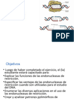 Enzimas Restriccion - UPRAg