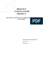 Biology Investigatory Project: The Study of Effects of Antibiotics On Micro-Organisms