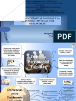 Laminas de Derecho de Familia Mapa Mental