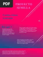 Proyecto Semilla 2