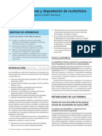 Capítulo 31. Biosíntesis y Degradación de Nucleótidos