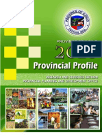 Iloilo Provincial Profile 2010