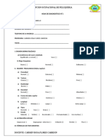 Hoja Diagnostico Cetpro Zepita 2021