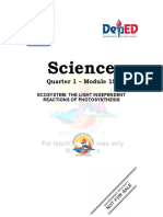 15 Quarter 1 Module 15-light-INDEPENDENT-reactions