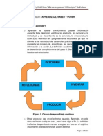 Resumen Capítulos I y II Metamanagement