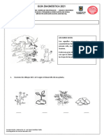 Guía Diagnóstica Ciencias Naturales 2° 2021