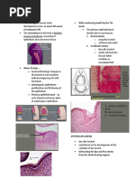 Odontogenesis Notes