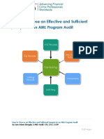 How To Choose An Effective and Sufficient Sample For An AML Program Audit