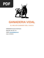 Proyecto Ganado de Ceba Vidal