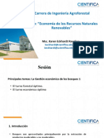 Economia RNR Turno Forestal 2 VF