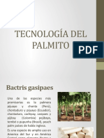 Unidad 1 Tecnología Del Palmito