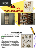 Biotechniques 04 - Herbarium