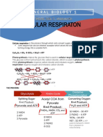 Cellular Respiration STUDY GUIDE