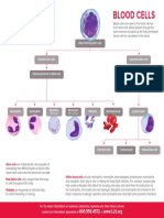 Blood CellsLymphatic System