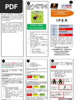 VOLANTE IPER Comité Paritario