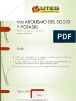 Metabolismo Del Sodio y Potasio