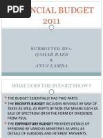 Financial Budget 2011: Submitted By