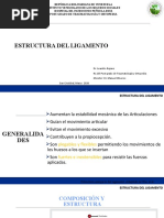 Estructura Del Ligamento