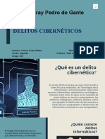 Delitos Cibernéticos