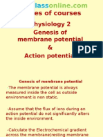 Physiology 2 Membrane Potential