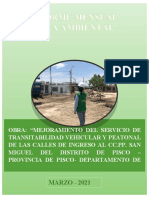 Informe Esp. Ambiental - San Miguel Pisco - Marzo