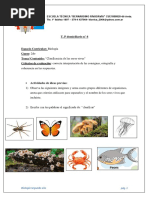 Clasificación de Los Seres Vivos