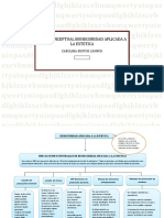 Mapa Conceptual Bioseguridad Aplicada A La Estetica