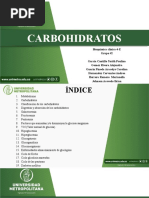 CARBOHIDRATOS