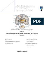 Tema 11 BBDH SISTEMA MOTOR NEURONAL