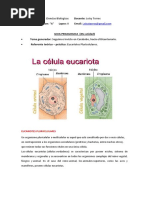 Ciencias Biologicas (4to Año) 4 Unidad.