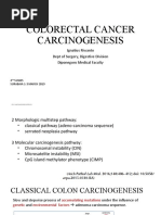 CARCINOGENESIS CRC Prof Riwanto