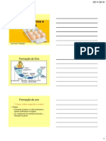 Inspeção de Ovos e Derivados: Formação Do Ovo