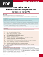 Linee Guida Per La Rianimazione Cardiopolmonare Nel Cane e Nel Gatto