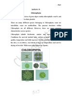 Lecture 3 Chlorophyta: Algae DR - Ayad M.J