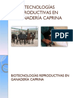 Diapositivas 06, Biotecnologías Reproductivas en Ganadería Caprina